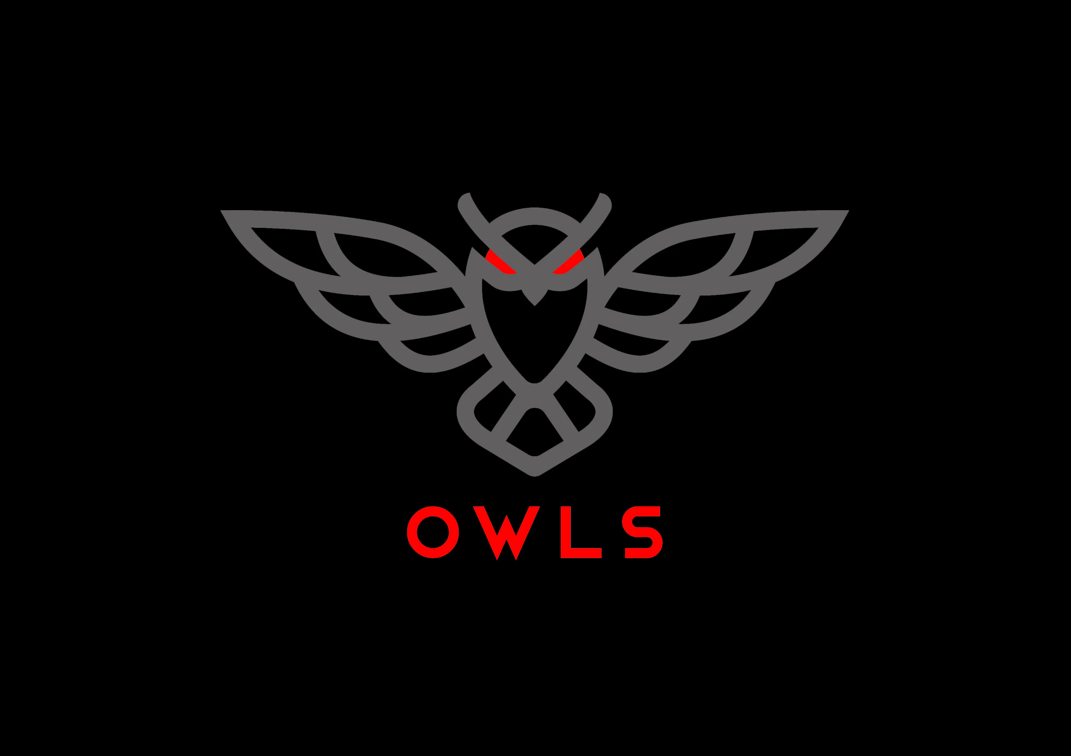 Owls Capital